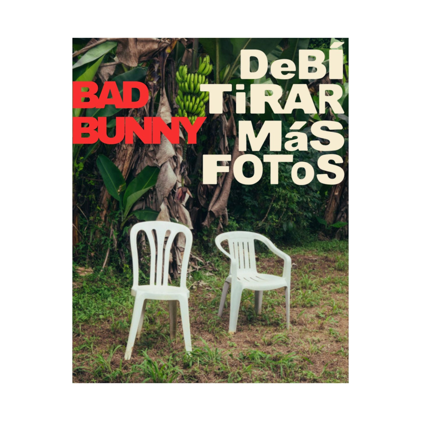 Satin Poster - DeBÍ TiRAR MáS FOToS Album