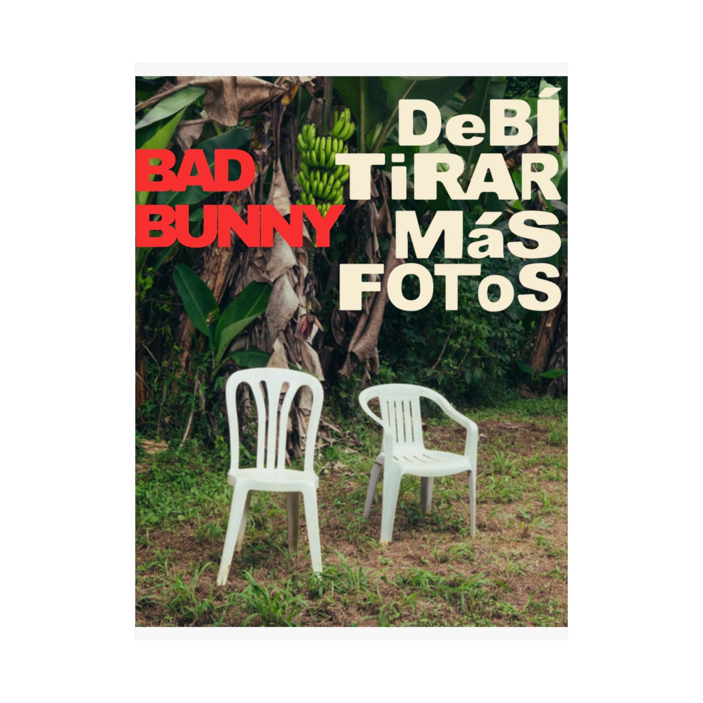 Satin Poster - DeBÍ TiRAR MáS FOToS Album