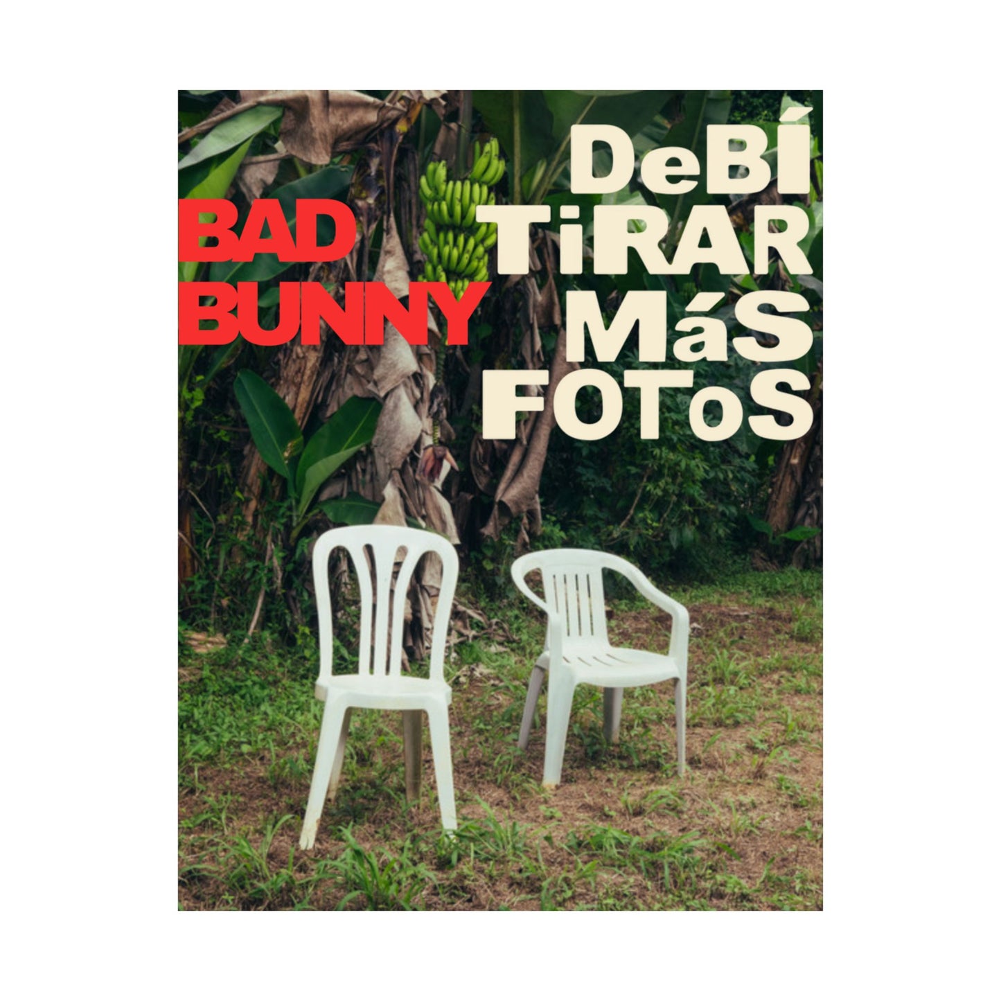Satin Poster - DeBÍ TiRAR MáS FOToS Album