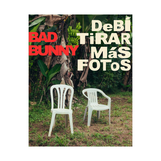 Satin Poster - DeBÍ TiRAR MáS FOToS Album